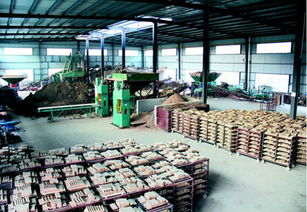 通江福德源陶瓷廠建成投產(chǎn)，投資管理助力地方經(jīng)濟，新增就業(yè)崗位200個