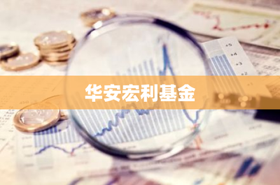 華安宏利基金投資管理 穩(wěn)健策略與長期價值的踐行者